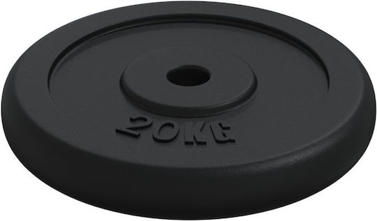 vidaXL Σετ Δίσκοι Μεταλλικοί 2 x 20kg Φ30mm