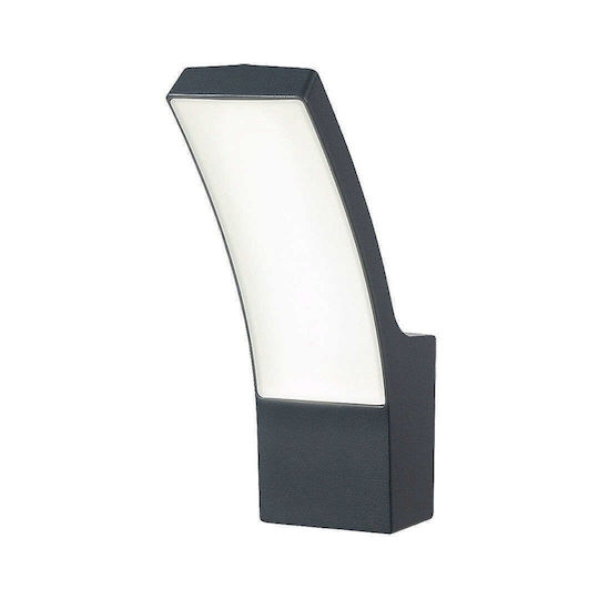 Rabalux Palanga Πλαφονιέρα LED 12W Rabalux Palanga Πλαφονιέρα LED 12W
