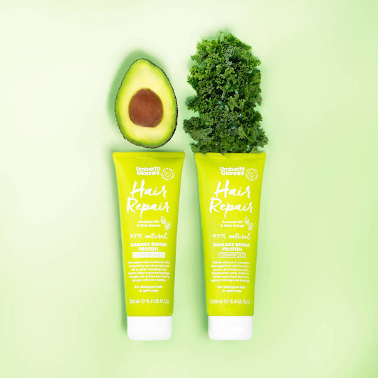 Umberto Giannini Hair Repair Shampoos für Zerbrechlich Haare 250ml