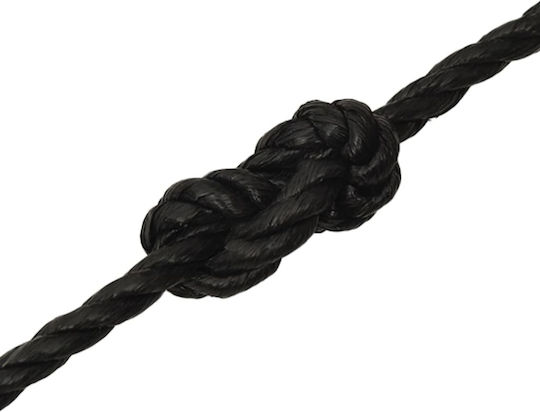 vidaXL Rope with Diameter 10mm and Length 25m Black Working Rope 10mm 25m made of Polypropylene