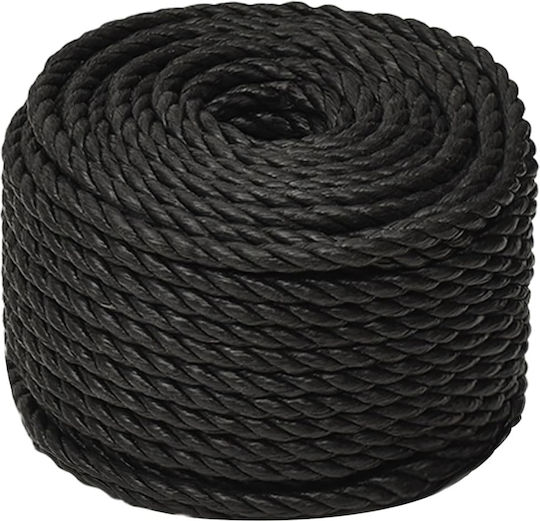 vidaXL Rope with Diameter 10mm and Length 25m Black Working Rope 10mm 25m made of Polypropylene
