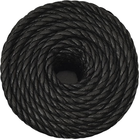 vidaXL Rope with Diameter 10mm and Length 25m Black Working Rope 10mm 25m made of Polypropylene