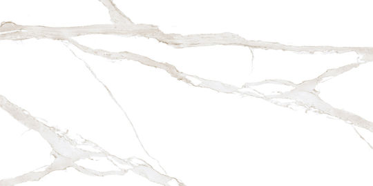 Ravenna Statuario Placă Interior din Granit Mat 120x60cm Alb