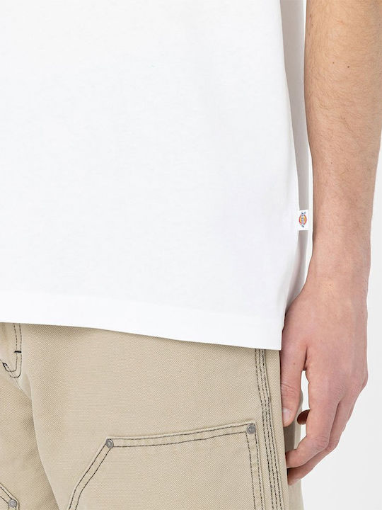 Summerdale T-shirt White