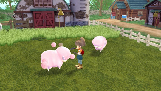 Story of Seasons: A Wonderful Life Joc PS5