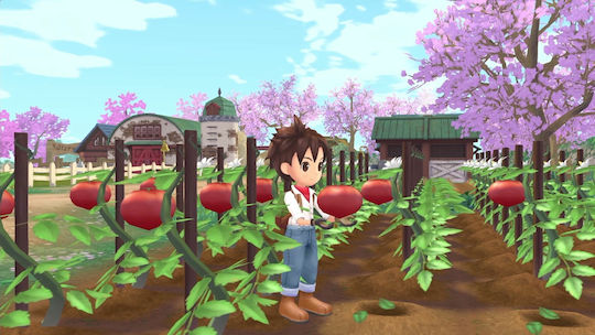 Story of Seasons: A Wonderful Life Joc PS5