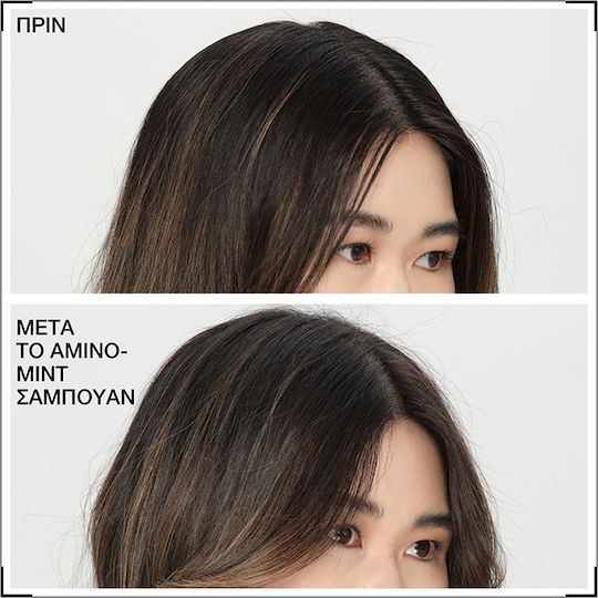 Redken Retail Amino-Mint Scalp Σαμπουάν για το Ευαίσθητο Τριχωτό για Όλους τους Τύπους Μαλλιών 300ml