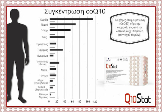 Libytec Q10Stat Special Food Supplement 60 Capsules