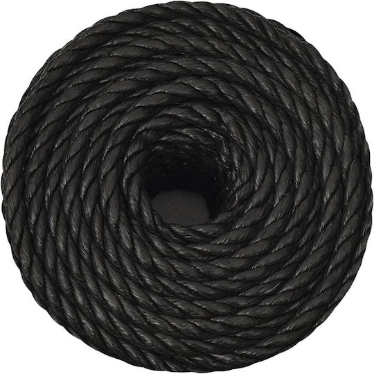 vidaXL Rope with Diameter 12mm and Length 100m Rope Black 12mm 100m Polypropylene