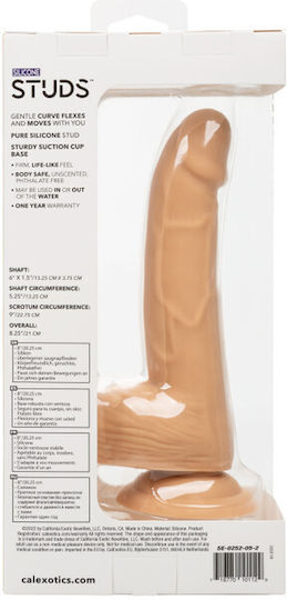 Calexotics Studs Glass Dildo with Balls and Suction Cup Flesh 15cm