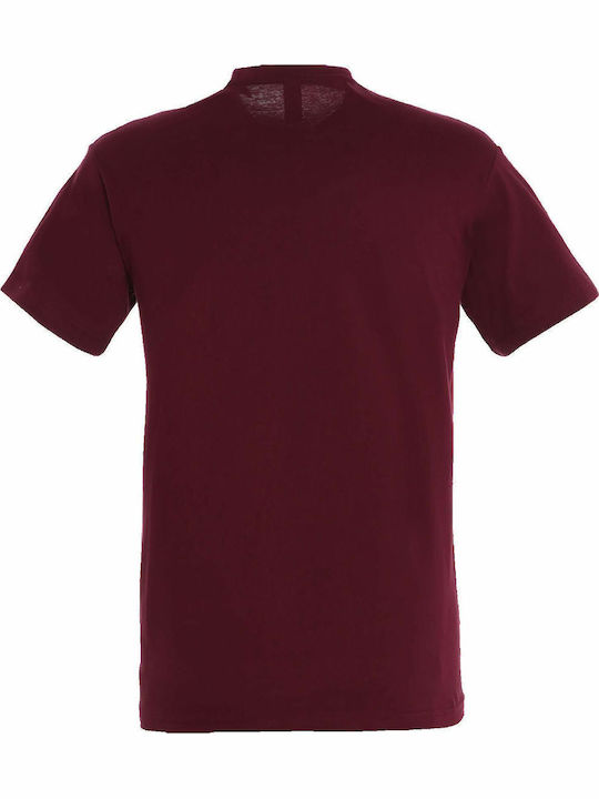 Sol's Regent Ανδρικό Διαφημιστικό T-shirt Κοντομάνικο σε Χρώμα