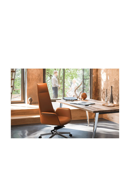 Stuhl Exekutive mit Neigung Cosmos Braun ErgoAction