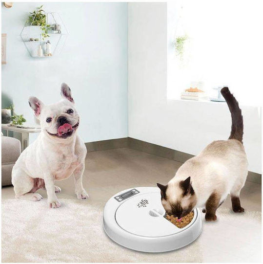All For Paws Lifestyle Automatic Feeder for Dog & Cat 240ml in White Color