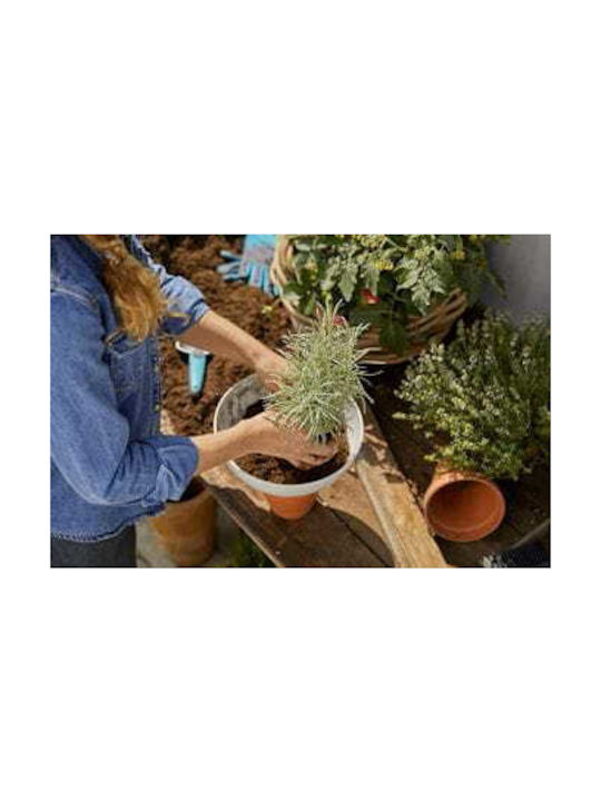 Gardena Clickup! Pot Plastic 25cm.