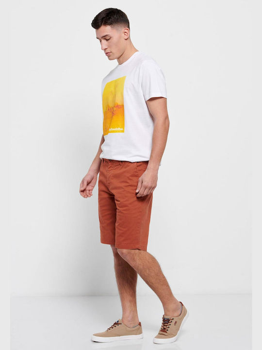 FBM007-00103 Men's Shorts Chino Terracota