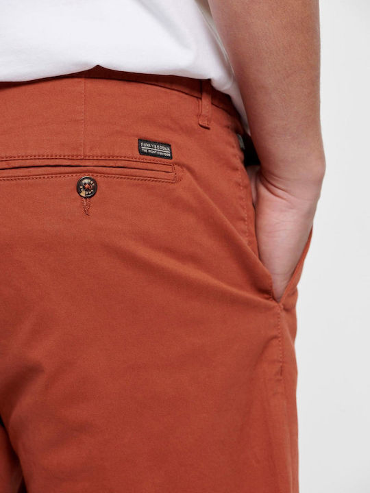 FBM007-00103 Men's Shorts Chino Terracota