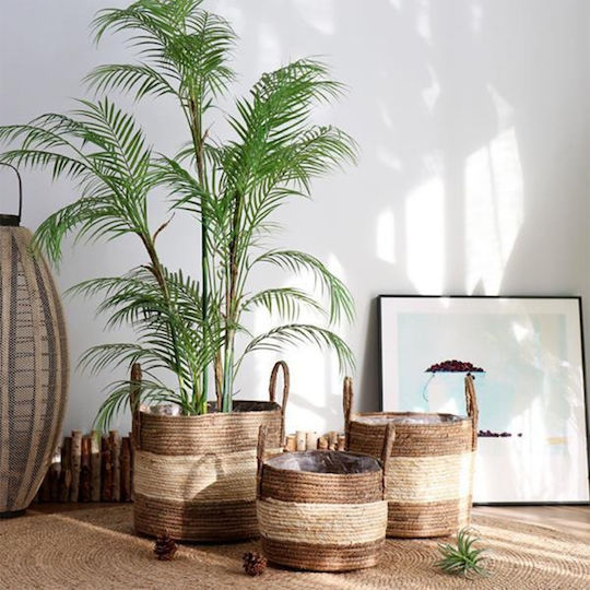 Next 35541------2 Wicker