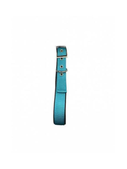 Pet Camelot 4555 Κολάρο Σκύλου σε Γκρι χρώμα 20mm x 50cm
