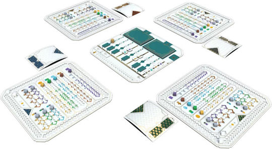 Board Game The Great Split for 2-7 Players 8+ Years Old (EN) Horrible Guild