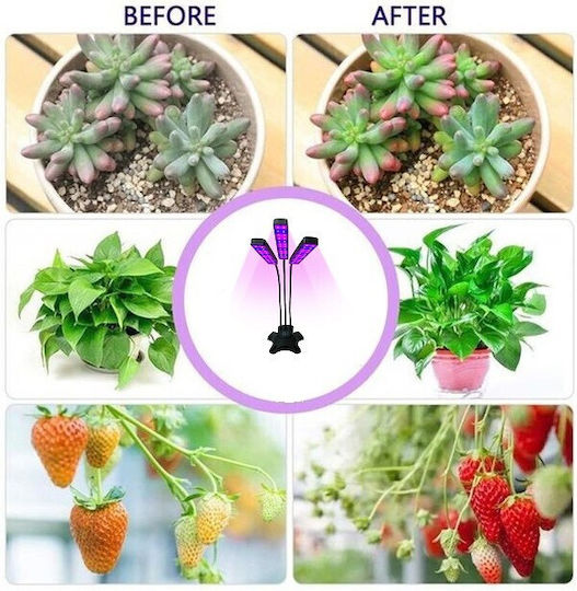 Επιτραπέζιο Grow Light με 72 LED