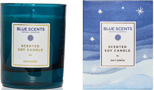 Blue Scents Αρωματικό Σόγιας σε Βάζο Oceania Blue Scents Αρωματικό Σόγιας σε Βάζο Oceania