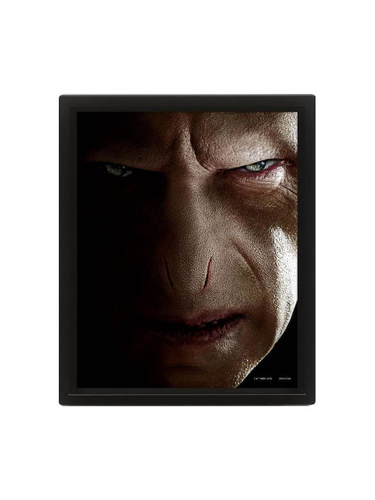 Pyramid International Harry vs Voldemort Frame Plastic 20x26cm