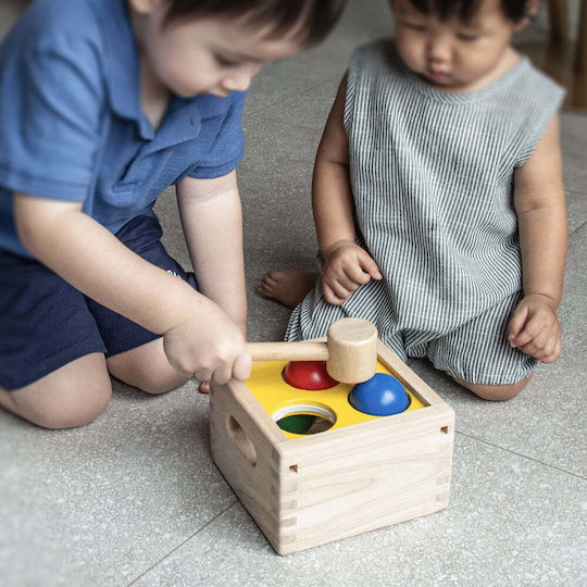 Plan Toys Hammer Toy Box with Balls and Hammer made of Wood for 12++ Months