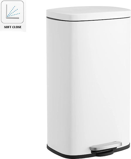 Vesta Vesta Soft Close Mülleimer Metallisch mit Pedal 30lt Weiß