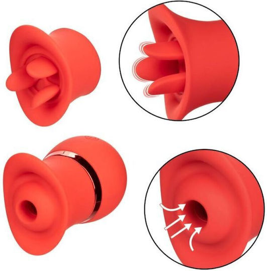 Calexotics French Kiss Αναρροφητής με Δόνηση Suck & Play Interchangeable Set Red