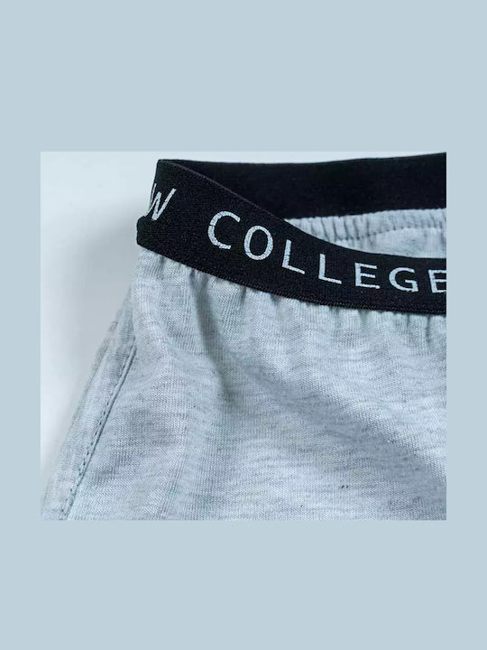 New College New College