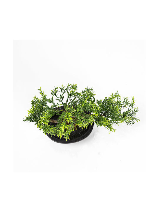 Supergreens Künstliche Pflanze im Topf Bonsai Φίκος Taiwan Grün 35cm 1Stück