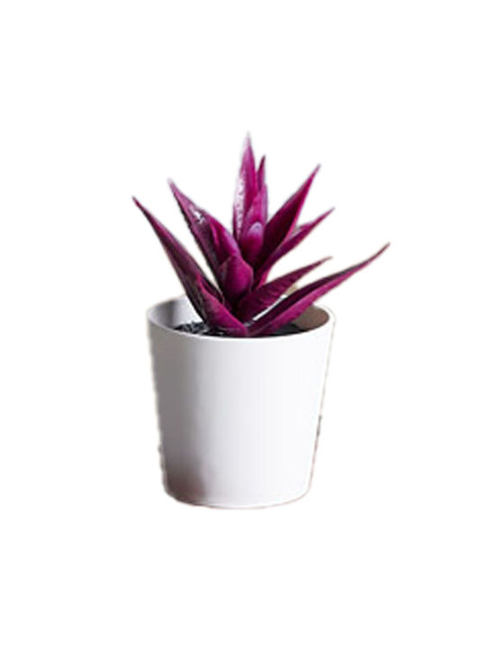 HOMie Artificial Plant in Small Pot Succulent Plant 1pcs