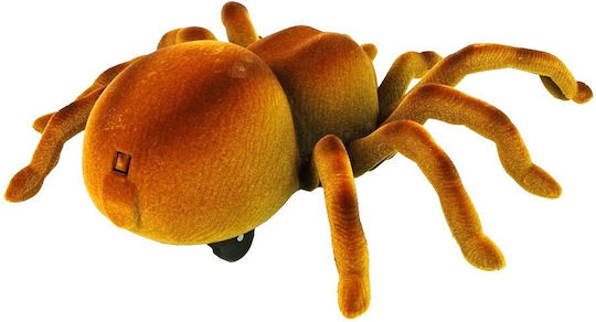 Tarantula Spider RC Vehicle Brown Toy