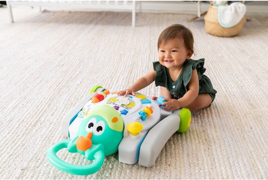 Infantino Walk & Play Pony Animal For 6+ Months With Sounds Multicolour