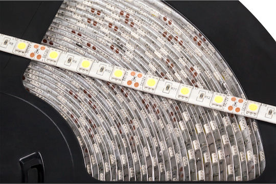Rebel Αδιάβροχη Ταινία LED 12V Θερμό Λευκό Φως 25m Τύπου SMD5050