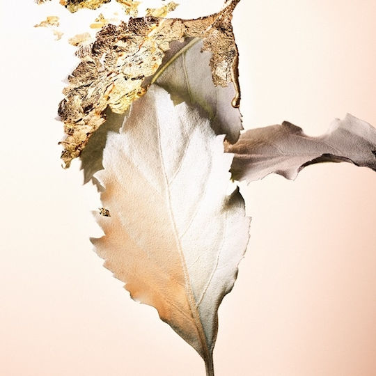 Bvlgari Splendida Patchouli Tentation Парфюмна вода 100мл