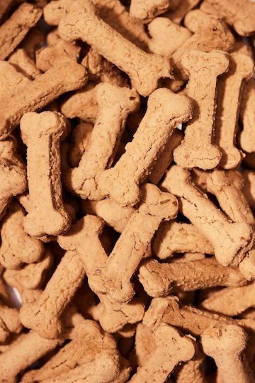 KYON Kekse Hund mit Banane & Zimt 400gr
