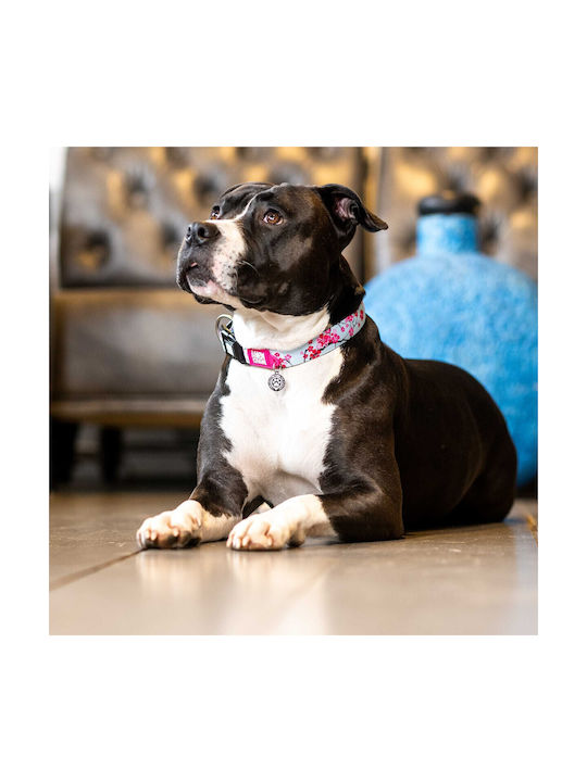 Max & Molly Cherry Bloom Dog Collar in Turquoise color Medium 20mm x 34 - 55cm