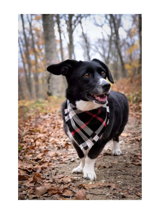 Woof Woof Schottisches Kilt-Bandana L/XL