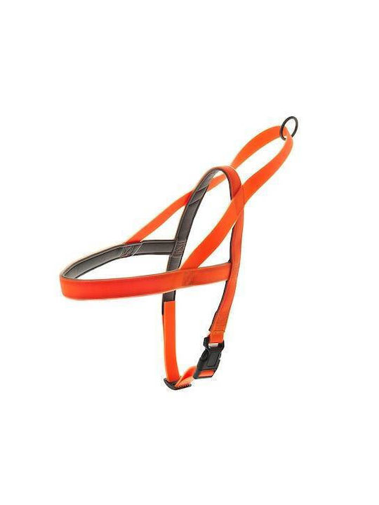 Ferribiella Dog Harness Training Fun Flat Orange Small 15mm x 49-67cm HI733-AR