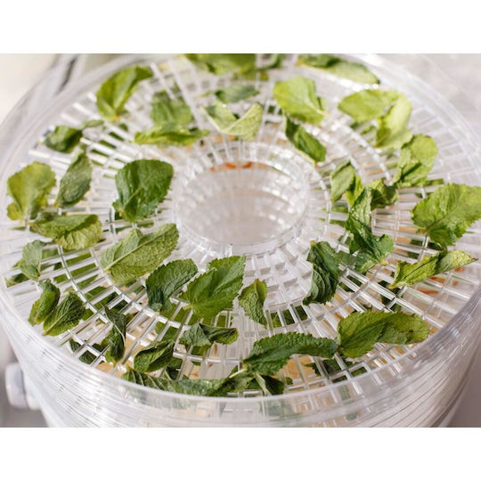 Beper Lebensmittel-Dehydrator mit 5 Regalen