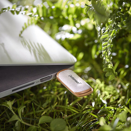 Intenso Green Line 32GB USB 3.2 Stick Καφέ