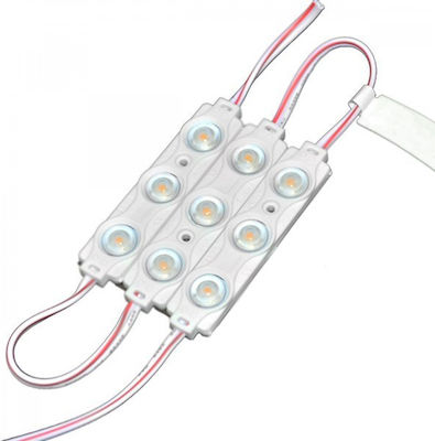 Optonica LED Module Warm White 12V 0.72W 20pcs (4513)