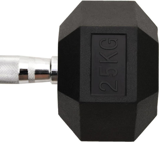 vidaXL Hexagon Dumbbell 1 x 25kg