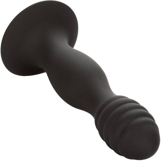 Calexotics Ribbed Stud Πρωκτικό Dildo Μαύρο 13.25cm