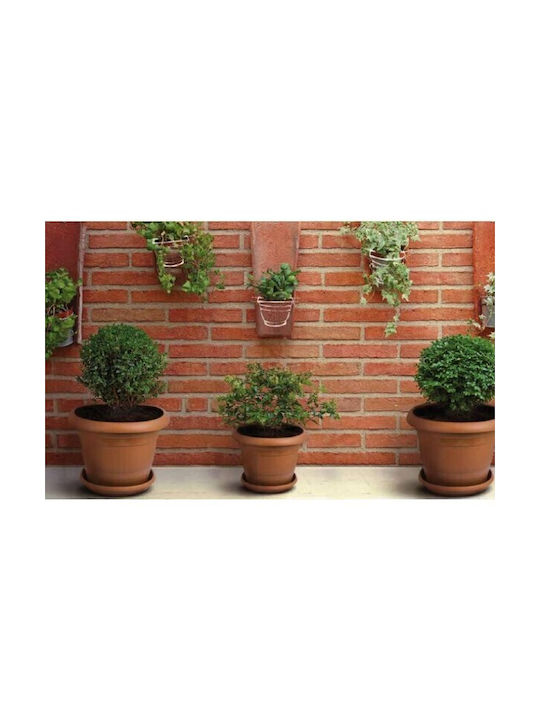 Viosarp Plastic Orange Flower Pot