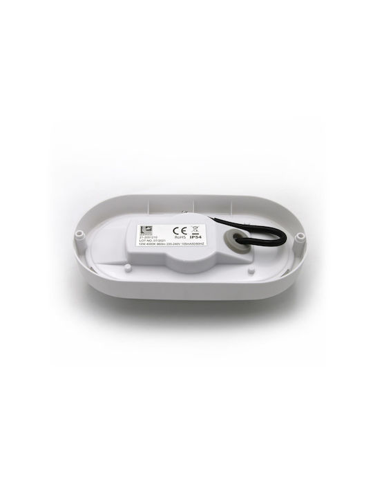 Adeleq Outdoor Ceiling Flush Mount with Integrated LED in White Color 21-2051210