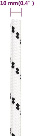 vidaXL Rope with Diameter 10mm and Length 100m Work Rope Black 10mm 100m made of Polyester