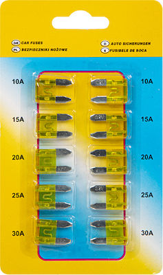 Blow Car Fuse Set Blades 10pcs