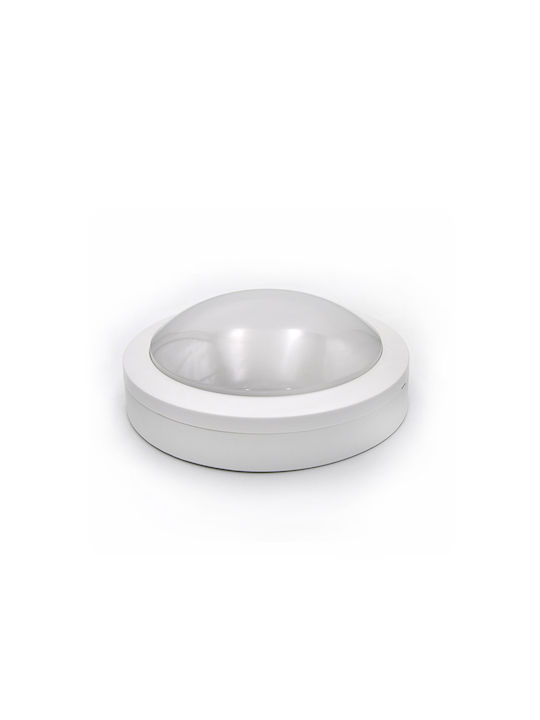 Adeleq Wall-Mounted Outdoor Ceiling Light LED IP65 8W with Warm White Light